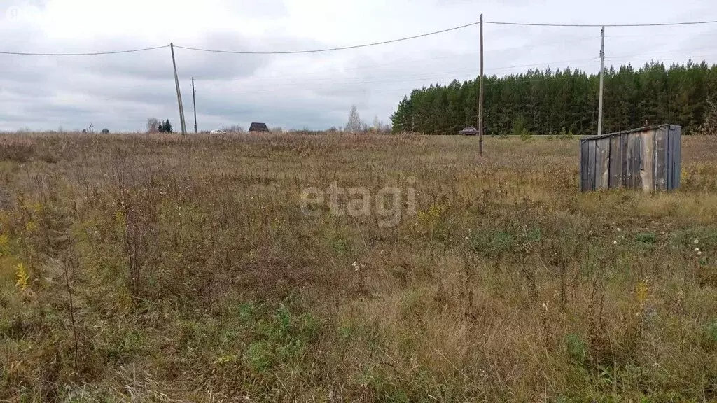 Участок в Камышловский район, Галкинское сельское поселение, село ... - Фото 1