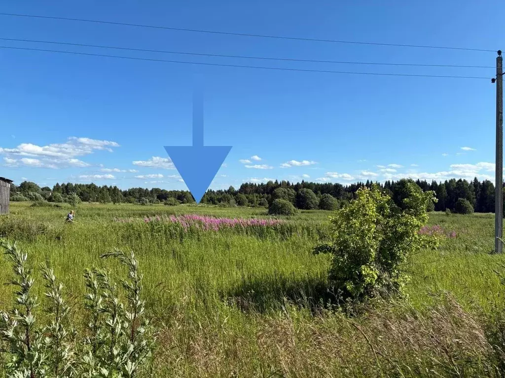 Участок в Московская область, Можайский муниципальный округ, Лесной кп ... - Фото 1