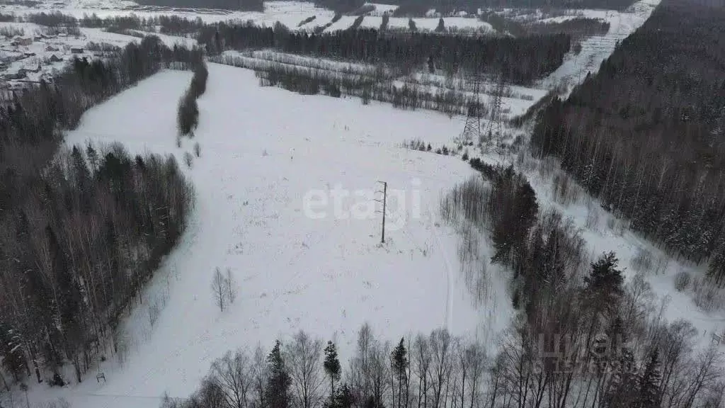 Участок в Коми, Сыктывдинский район, с. Выльгорт  (10.0 сот.) - Фото 0