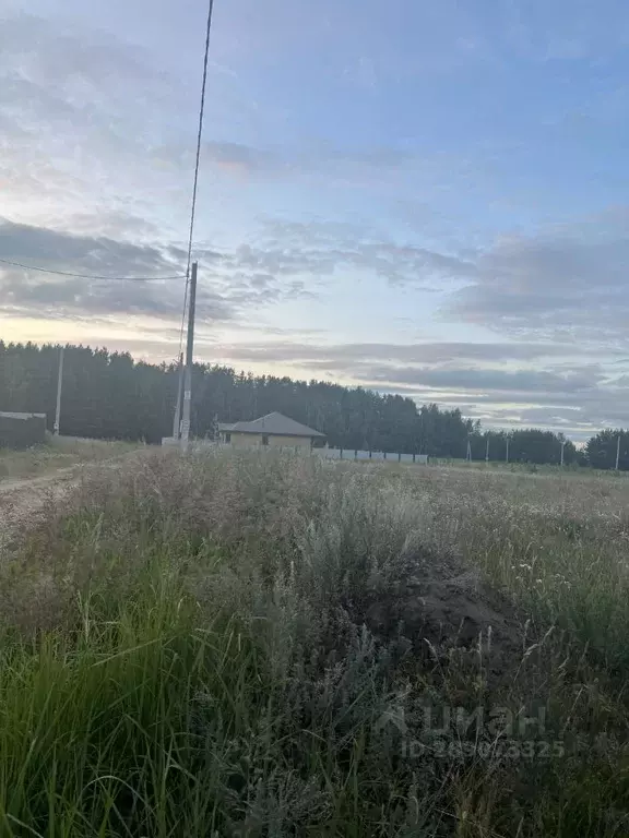 Участок в Татарстан, Лаишевский район, Татарско-Сараловское с/пос, ... - Фото 2