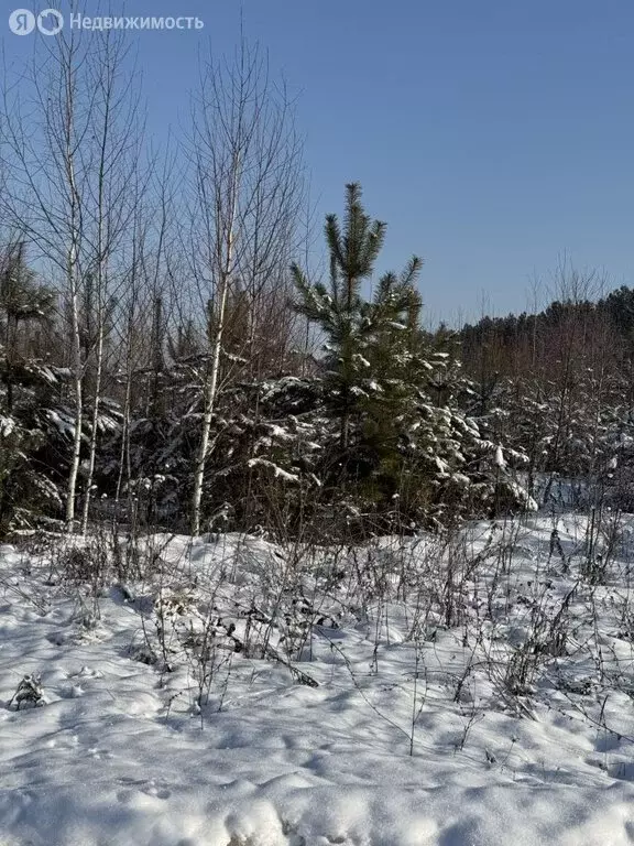 Участок в Нижегородская область, Богородский муниципальный округ, ... - Фото 0