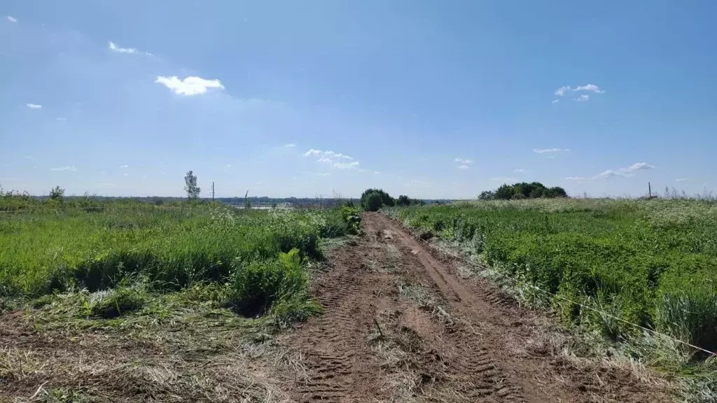 Участок в Новгородская область, Новгородский район, Савинское с/пос, ... - Фото 1