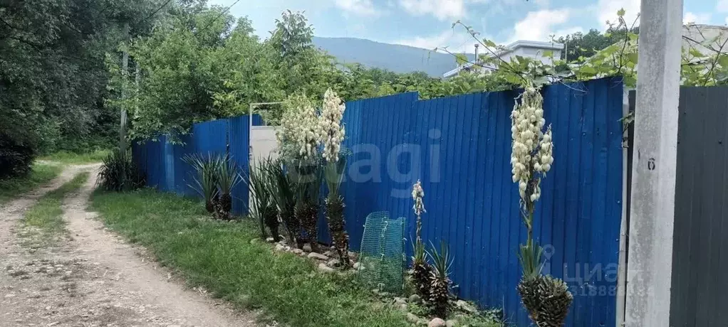 Участок в Краснодарский край, Геленджик городской округ, с. Адербиевка ... - Фото 1