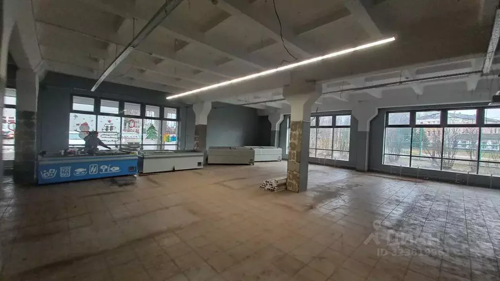 Помещение свободного назначения в Смоленская область, Починковский ... - Фото 2