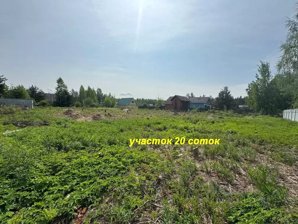 Участок в Ленинградская область, Всеволожский район, Рахьинское ... - Фото 1