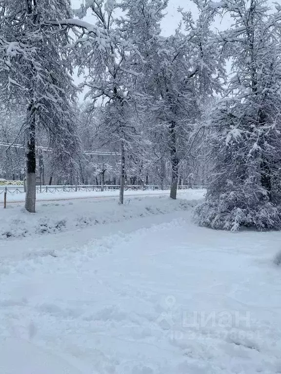 Дом в Тверская область, Рамешковский муниципальный округ, д. Селище  ... - Фото 1