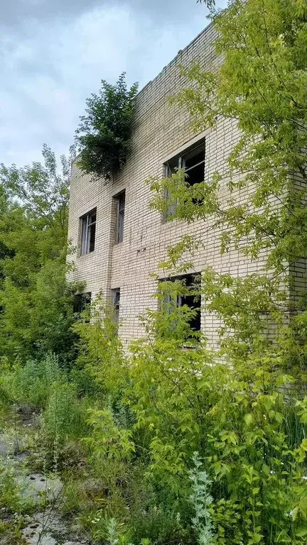 Продам помещение свободного назначения, 18.7 м - Фото 0