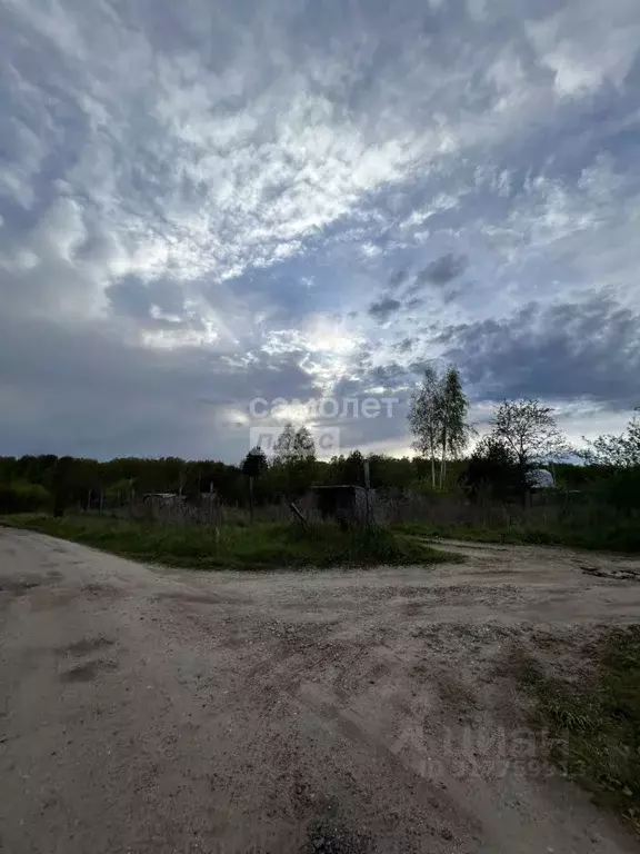 Участок в Московская область, Коломна городской округ, д. Новоселки, ... - Фото 1
