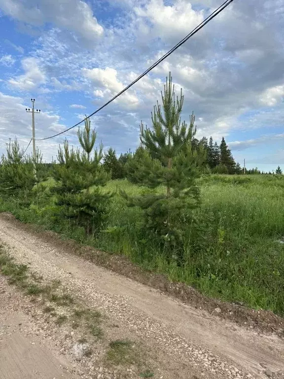 Участок в Пермский край, Пермский муниципальный округ, д. Горшки ул. ... - Фото 1
