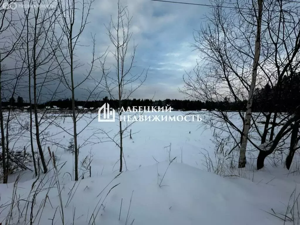 Участок в Ленинградская область, Сосновый Бор (8 м) - Фото 1