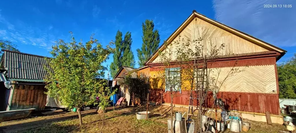 Дом в Приморский край, с. Анучино ул. Чкалова, 43 (56 м) - Фото 1