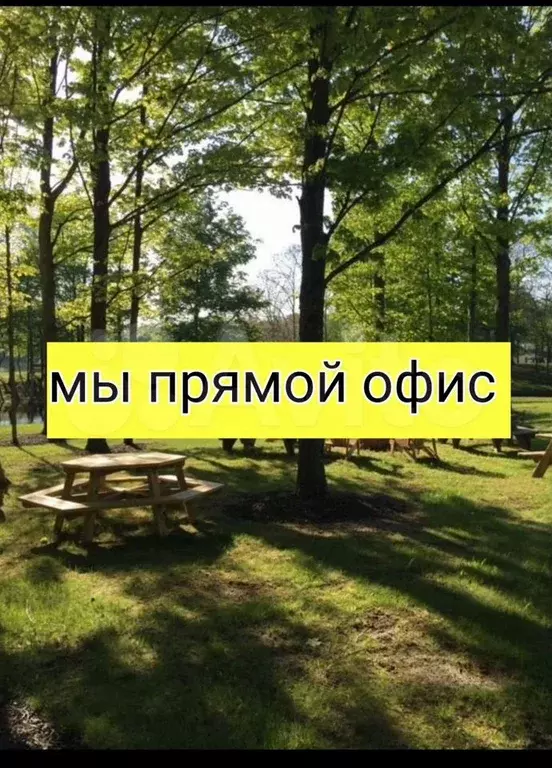 1-к. квартира, 49,8 м, 4/9 эт. - Фото 1