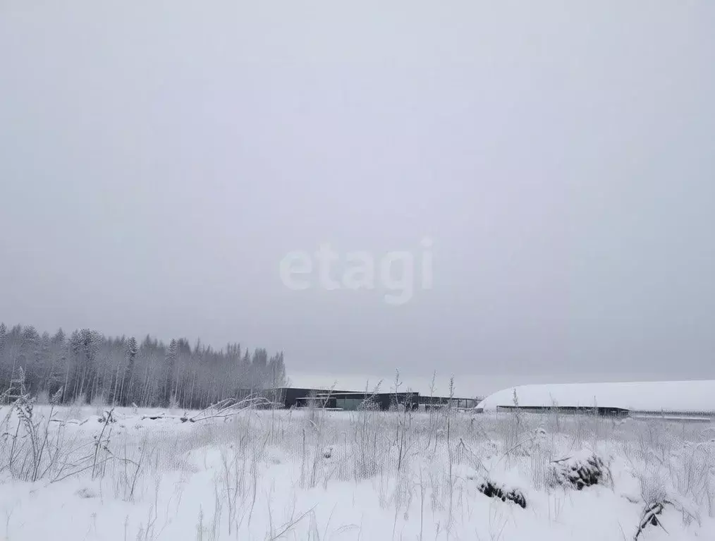 Участок в Ленинградская область, Всеволожский район, Колтушское ... - Фото 2