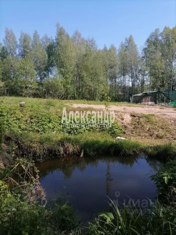 Участок в Ленинградская область, Выборгский район, Полянское с/пос, ... - Фото 0