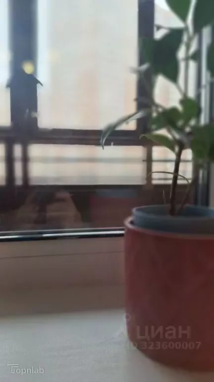 Студия Ленинградская область, Мурино Всеволожский район, Новая ул., 7 ... - Фото 2