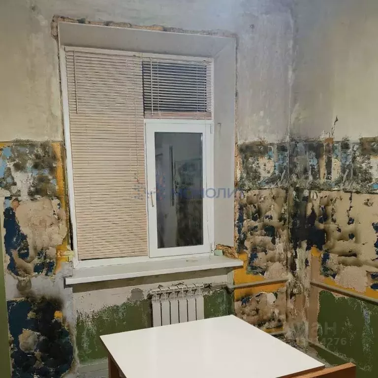 1-к кв. Нижегородская область, Нижний Новгород ул. Ватутина, 10 (42.1 ... - Фото 1