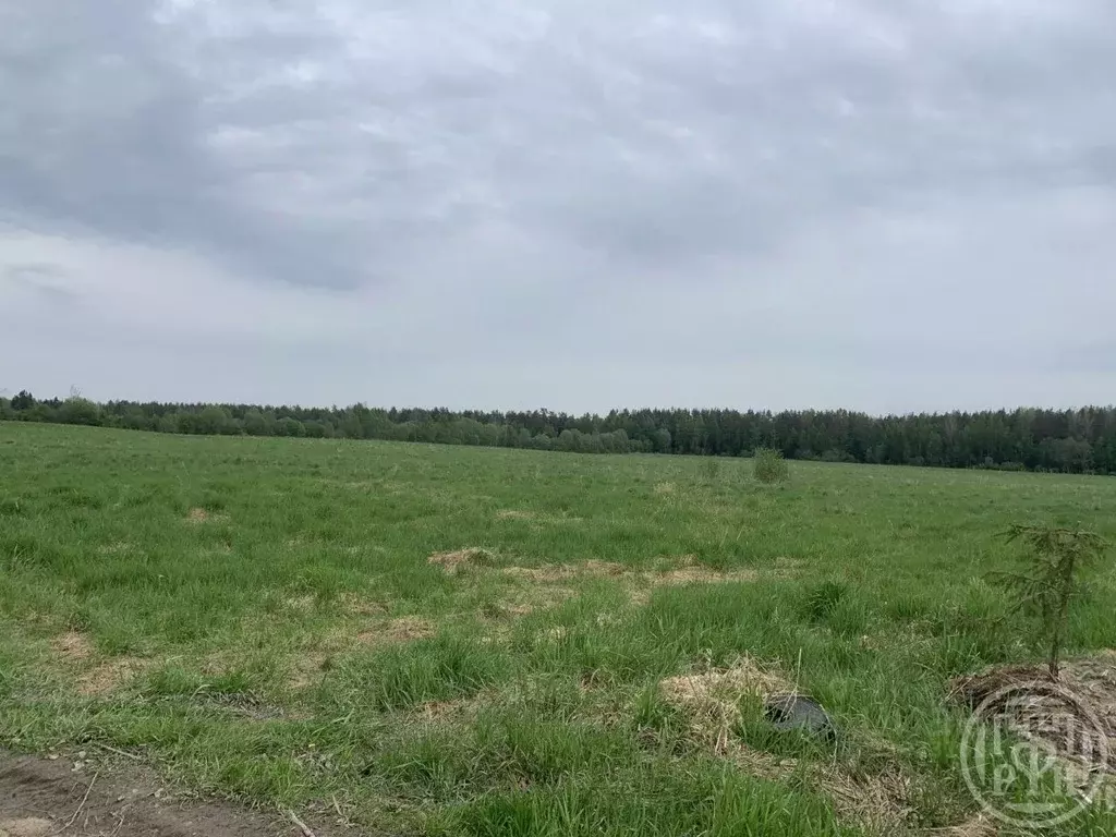 Участок в Ленинградская область, Тосненский район, Форносовское ... - Фото 2