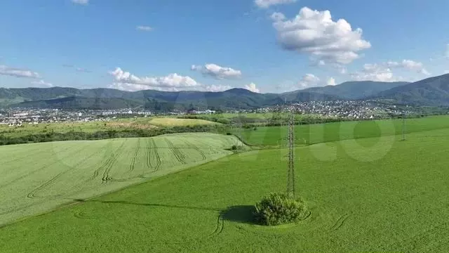 Участок 61,5 сот. (СНТ, ДНП) - Фото 1