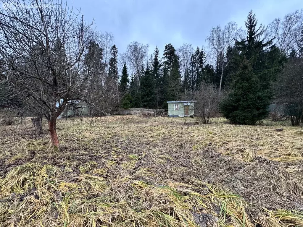 Участок в Московская область, Щёлково (11 м) - Фото 2