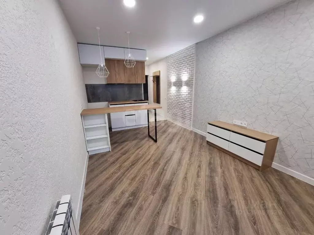 Студия Алтайский край, Барнаул Песчаная ул., 190 (24.3 м) - Фото 1