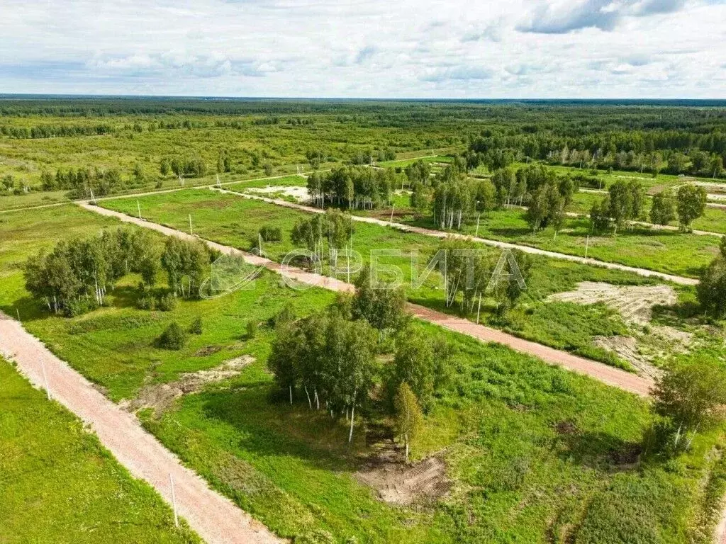 Участок в Тюменская область, Тюменский муниципальный округ Салаирский ... - Фото 1