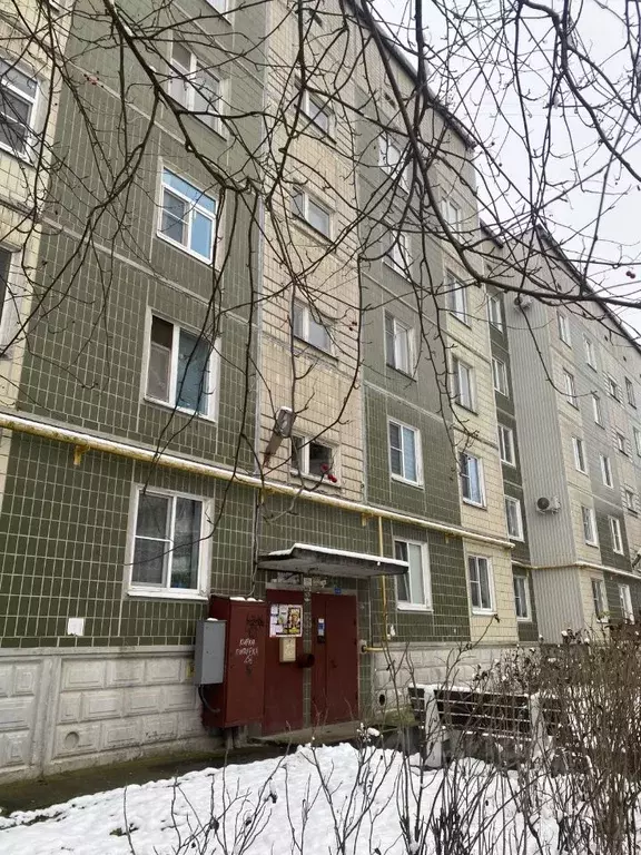 1-к кв. Ленинградская область, Тосненский район, пос. Тельмана 44 ... - Фото 1