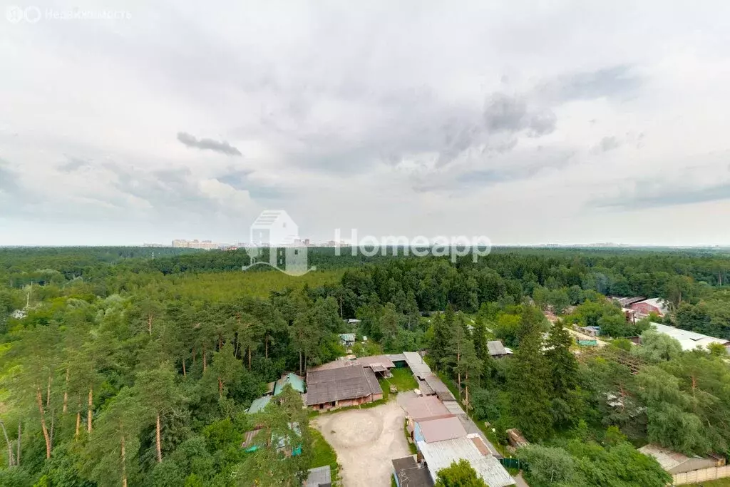 1-комнатная квартира: Балашиха, квартал Изумрудный, 1 (36 м) - Фото 2