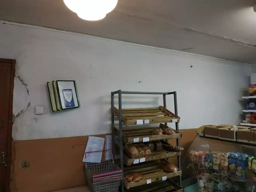 Помещение свободного назначения в Орловская область, Колпнянский ... - Фото 2