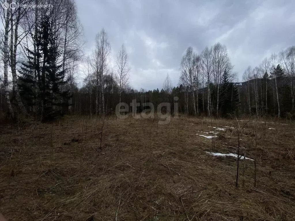 Участок в Чойский район, Паспаульское сельское поселение, село ... - Фото 0