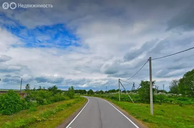 Участок в Волосовский район, Большеврудское сельское поселение, ... - Фото 0