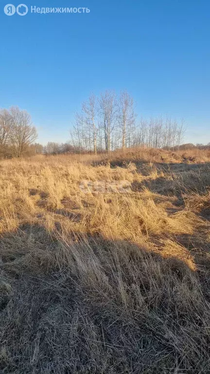 Участок в село Косяково, Озёрная улица (6 м) - Фото 1