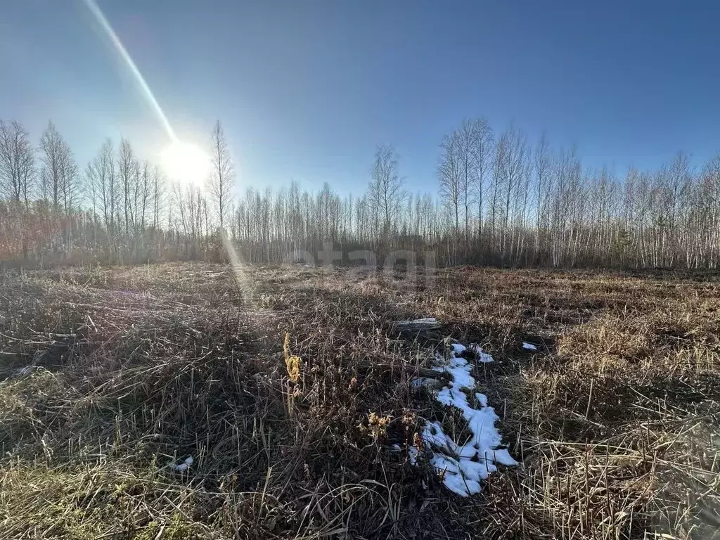 Участок в Тюменская область, Нижнетавдинский муниципальный округ, ... - Фото 1