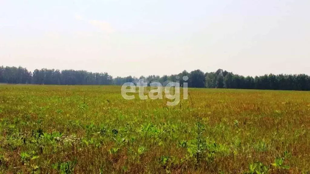 Участок в Тюменская область, Тюменский муниципальный округ, ... - Фото 1