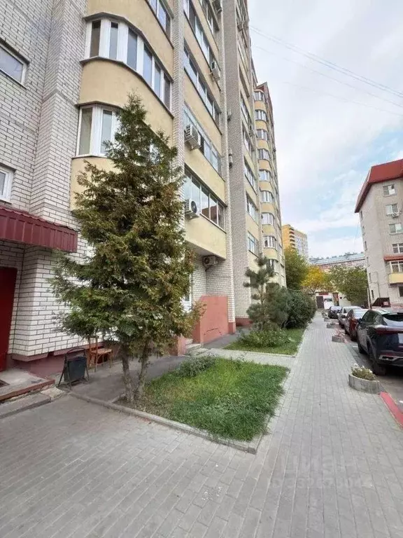 2-к кв. Воронежская область, Воронеж Ипподромная ул., 2В (65.0 м) - Фото 1