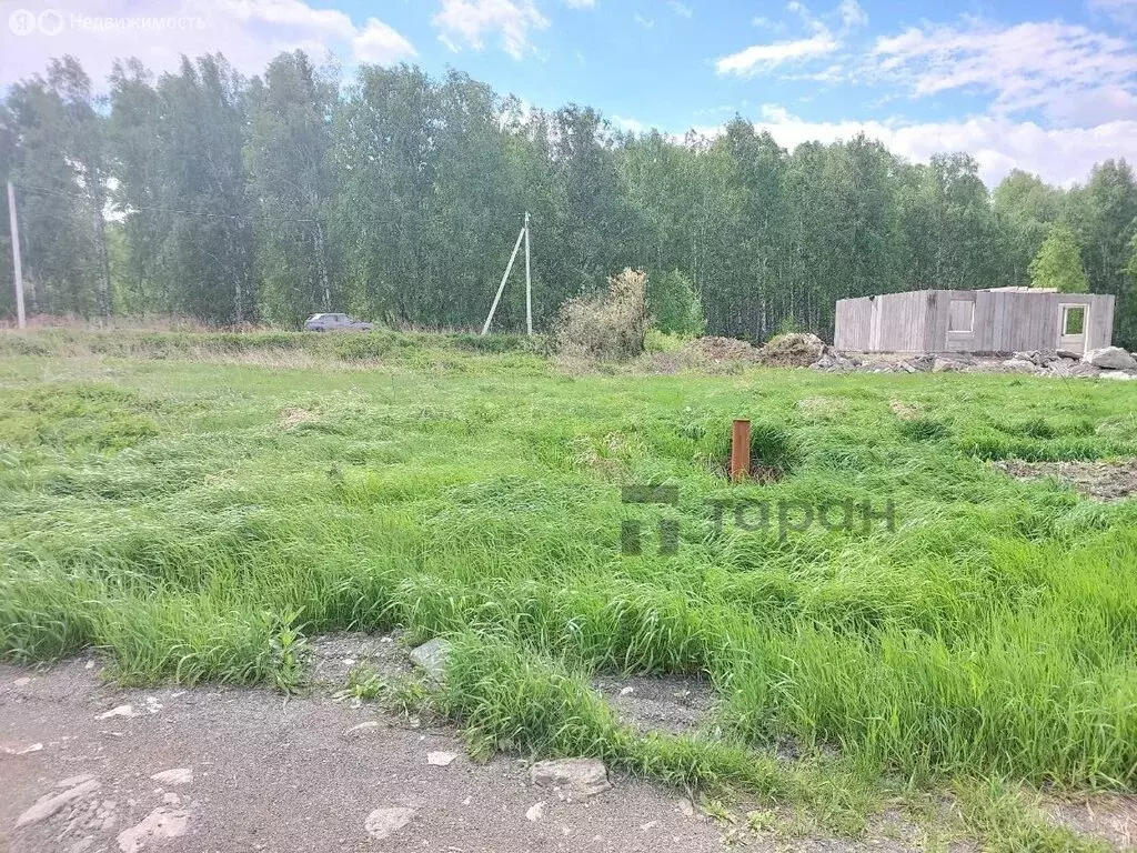 Участок в Сосновский округ, Краснопольское сельское поселение, деревня ... - Фото 1