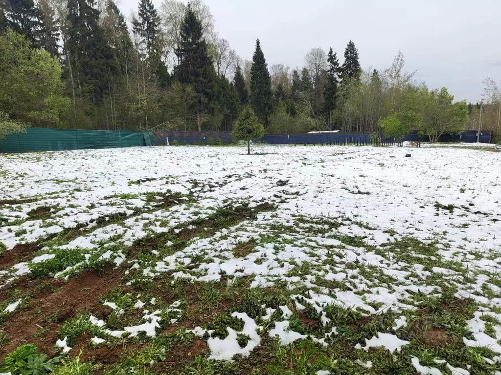 Участок в Московская область, Дмитровский муниципальный округ, Дюна кп ... - Фото 1