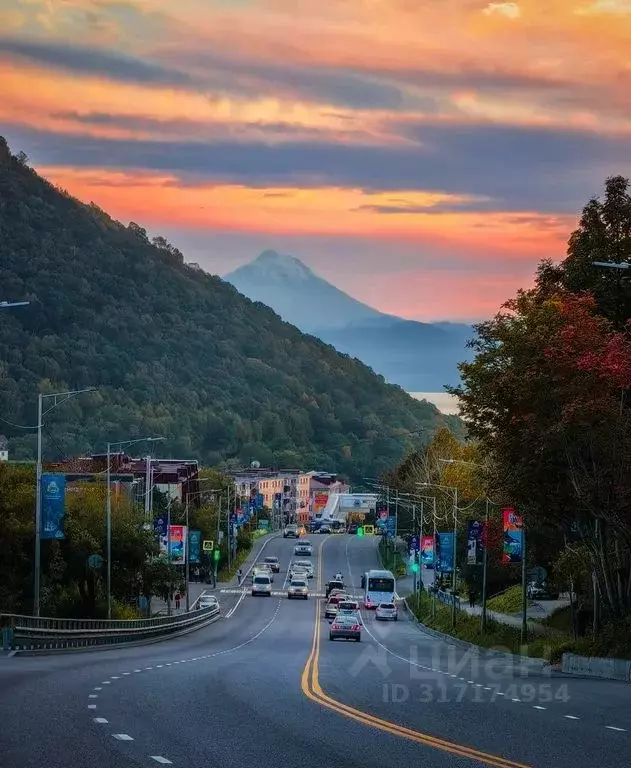 1-к кв. Камчатский край, Елизово ул. Рябикова, 57 (32.0 м) - Фото 0