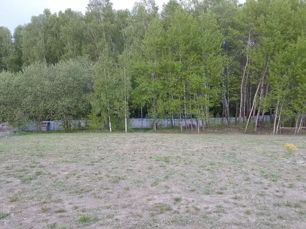 Участок в Нижегородская область, Дальнеконстантиновский муниципальный ... - Фото 1
