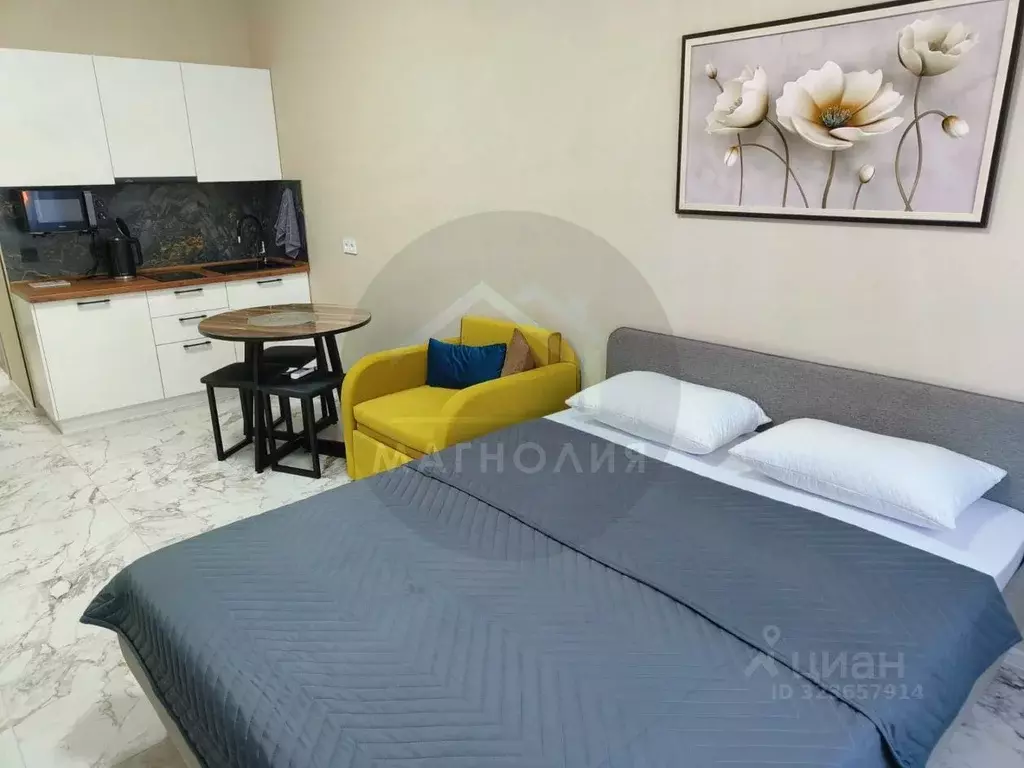 Студия Краснодарский край, Анапа проезд Межсанаторный, 19 (25.1 м) - Фото 1