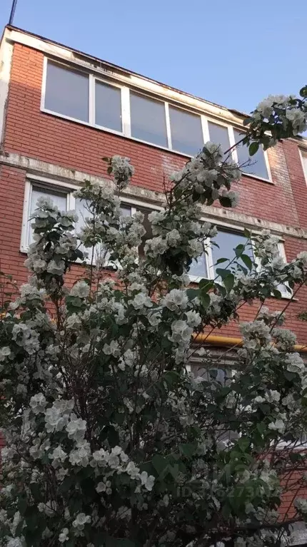 2-к кв. Самарская область, Самара Опытная станция по садоводству тер., ... - Фото 1