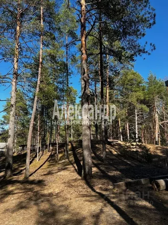 Участок в Ленинградская область, Лужский район, Толмачево городской ... - Фото 0