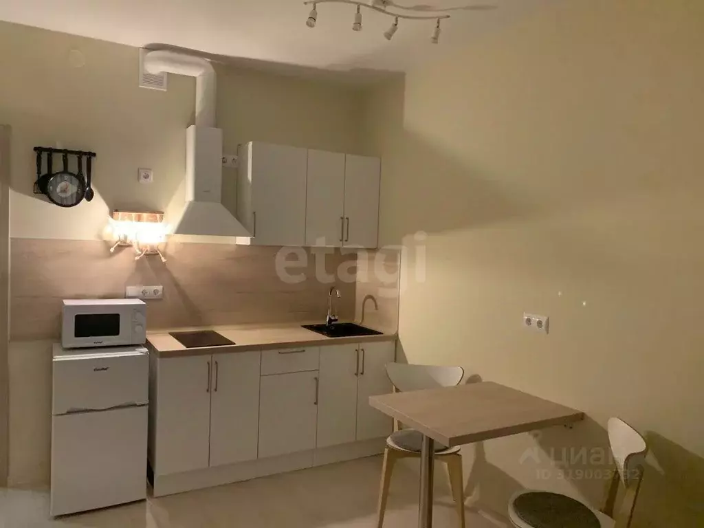 Студия Санкт-Петербург наб. Реки Каменки, 15к1 (25.0 м) - Фото 0