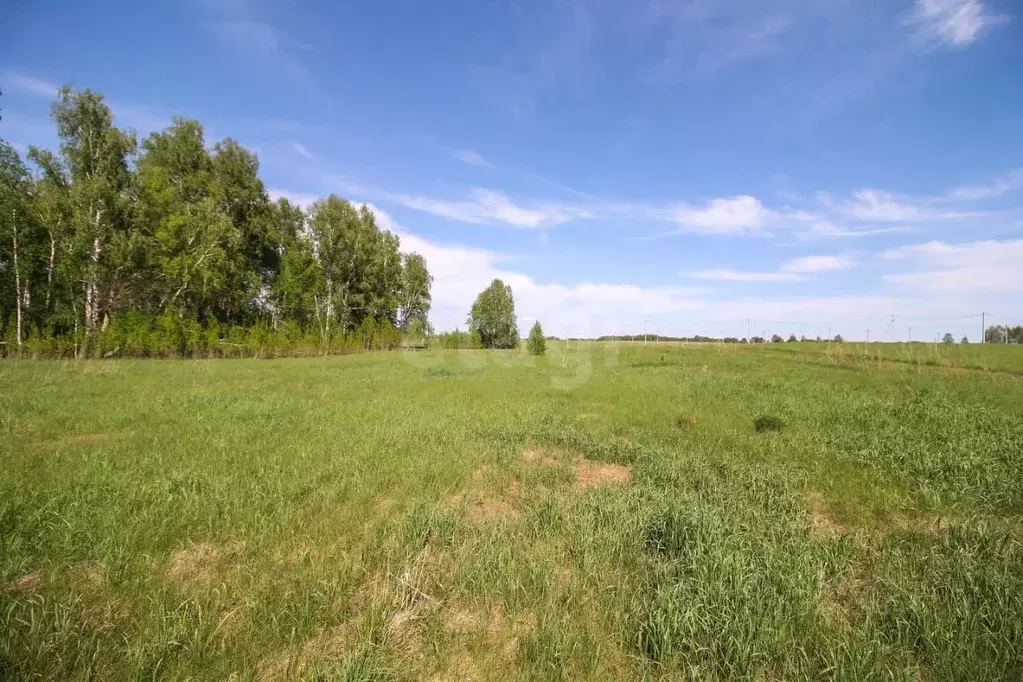 Дом в Алтайский край, Первомайский район, с. Фирсово Палитра жилой ... - Фото 1