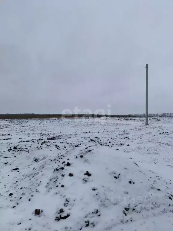 Участок в Белгородская область, Белгородский муниципальный округ, ... - Фото 1