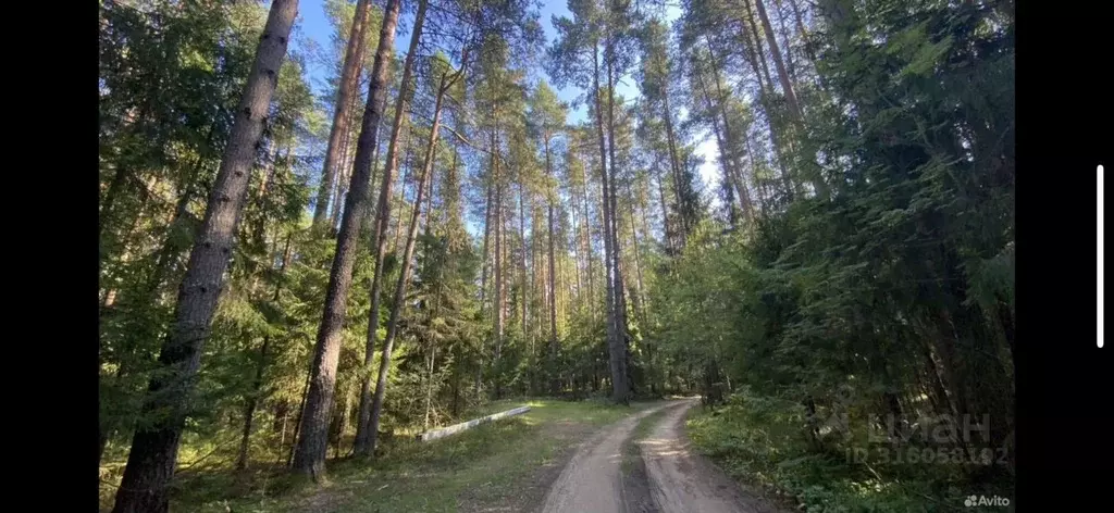 Дом в Тверская область, Кимрский муниципальный округ, Полет СНТ  (120 ... - Фото 0