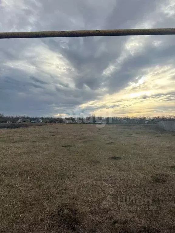 Участок в Воронежская область, Лискинский район, Ковалевское с/пос, с. ... - Фото 1
