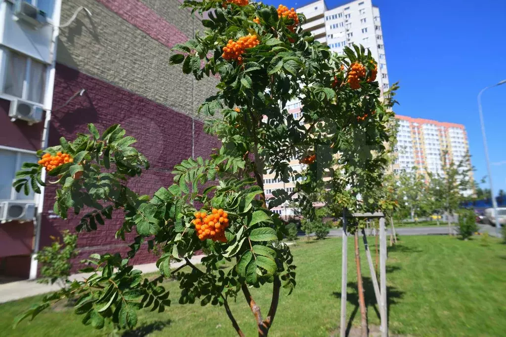 1-к. квартира, 35,7 м, 15/16 эт. - Фото 1