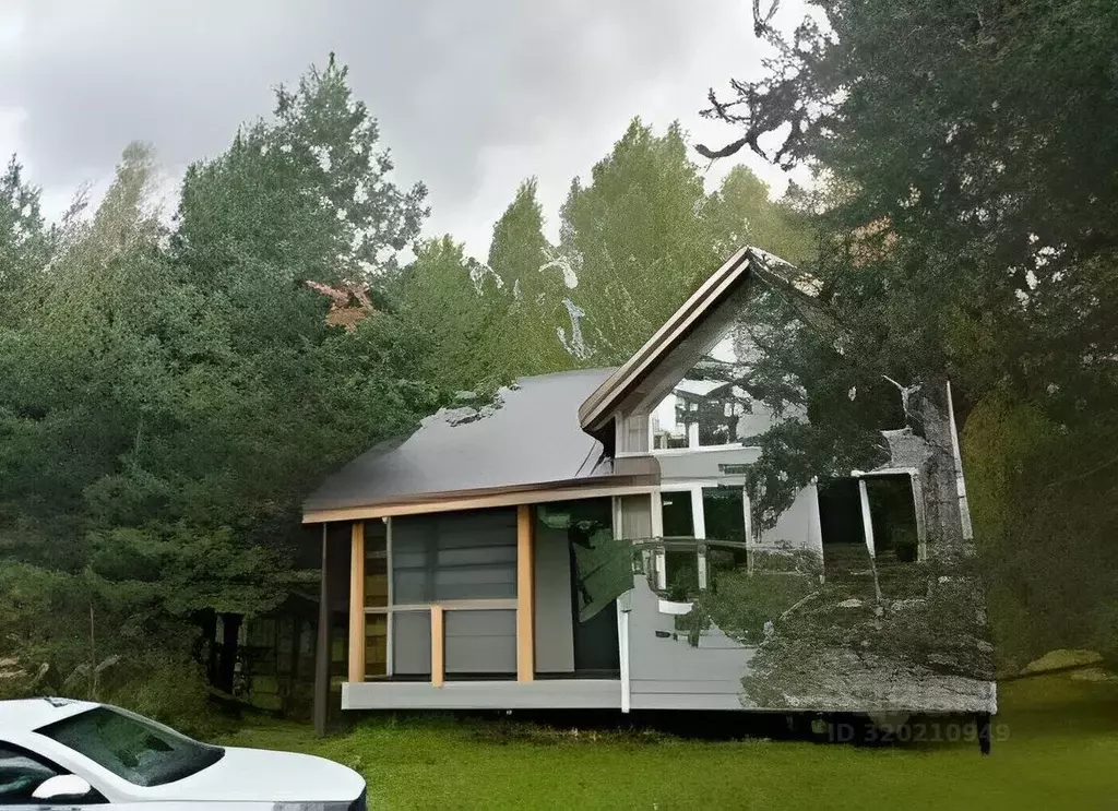 Дом в Нижегородская область, Бор  (100 м) - Фото 1