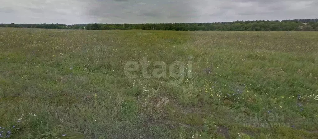 Участок в Воронежская область, с. Новая Усмань, Радуга мкр ул. ... - Фото 0