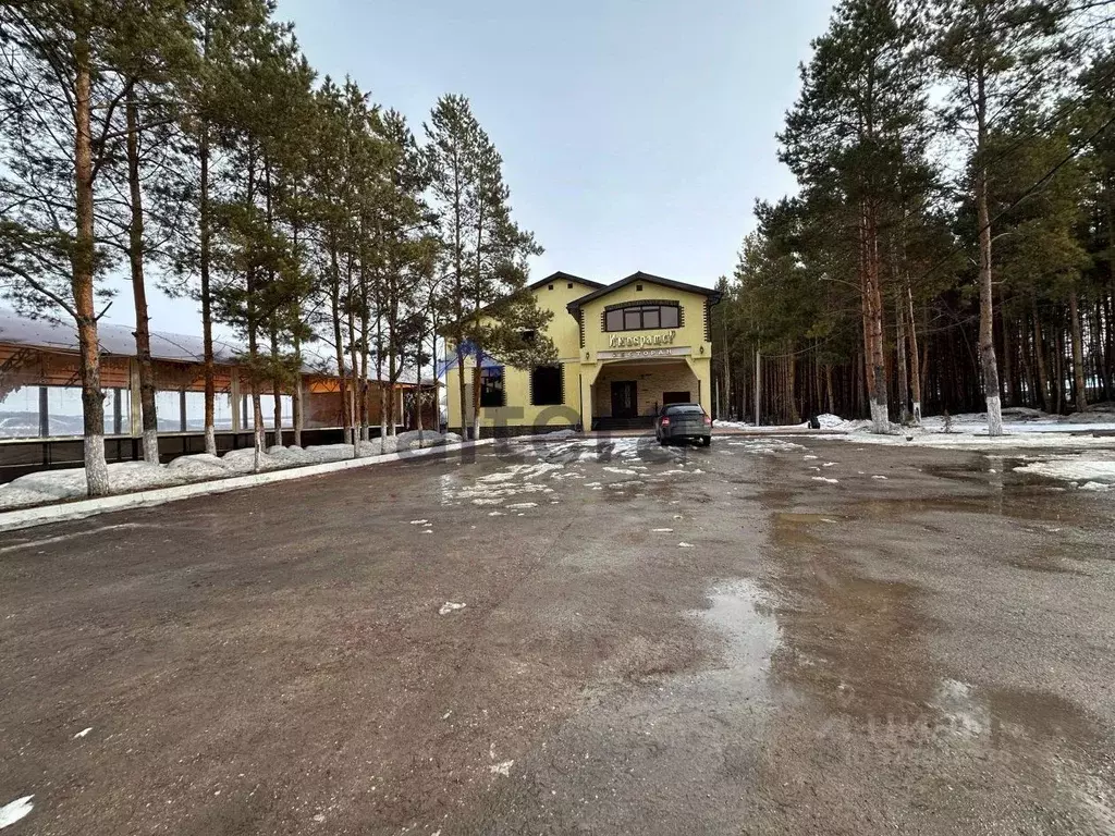 Помещение свободного назначения в Татарстан, Альметьевск ул. Бигаш, ... - Фото 1